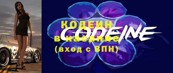 молекула духа Касимов